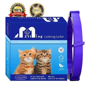 Calming collar for cat